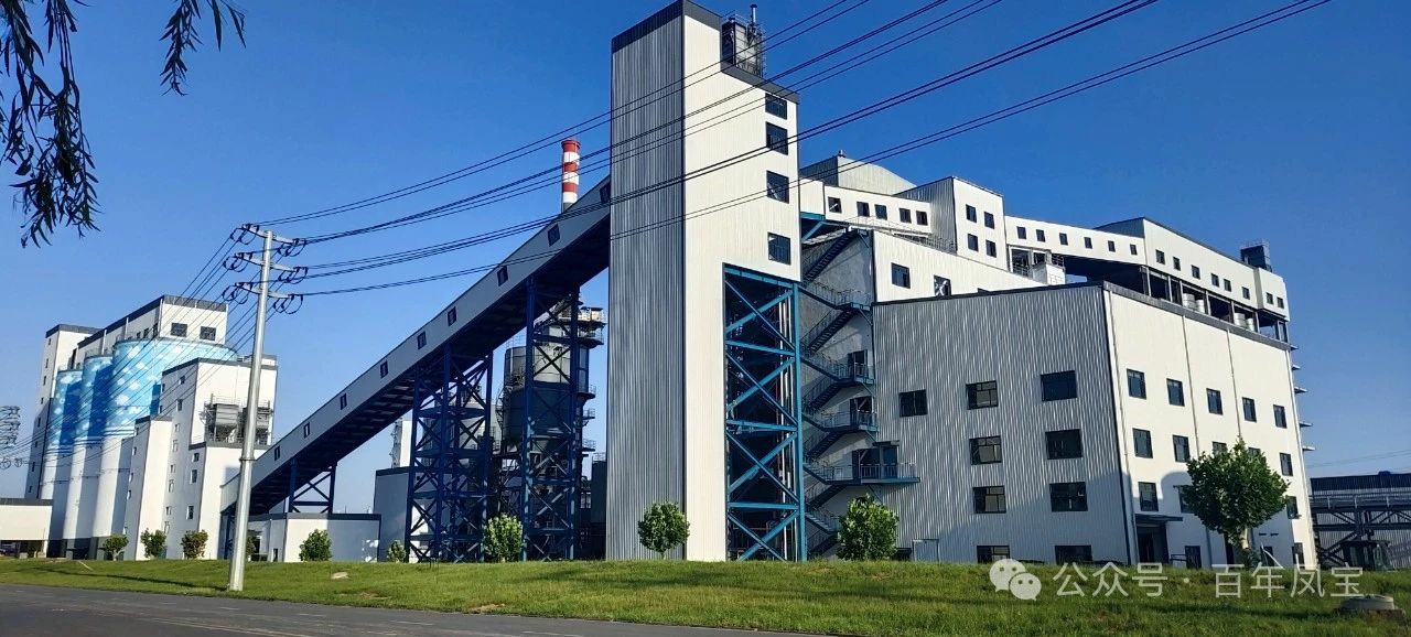 宋争辉到多宝网页版登录入口集团调研